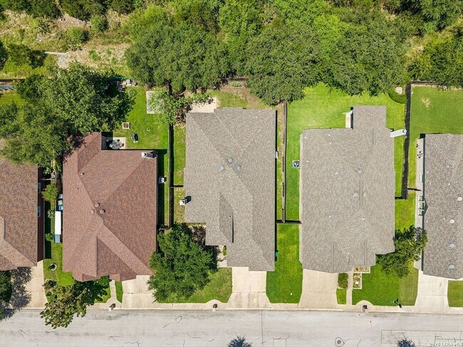 Building Photo - 1303 Bluff Forest