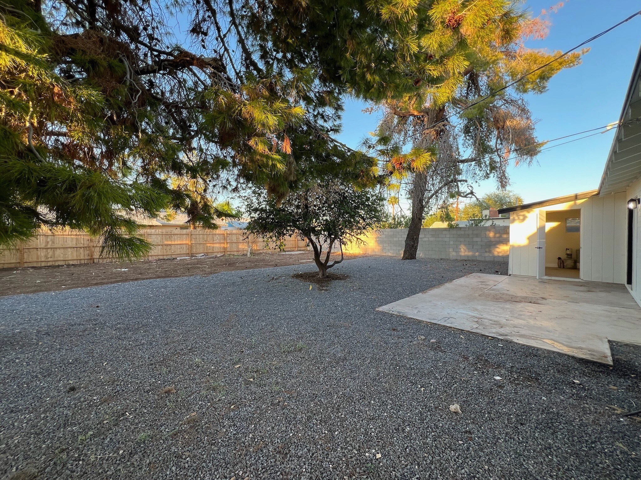 Backyard - 1368 W 14th St