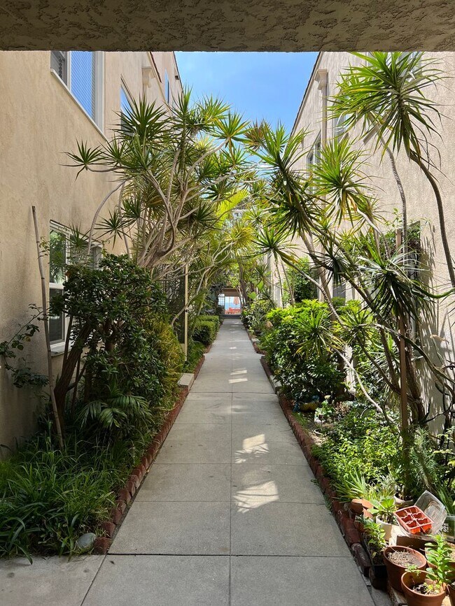 Building Photo - Oceanview Two Bedroom Apartment with Laund...