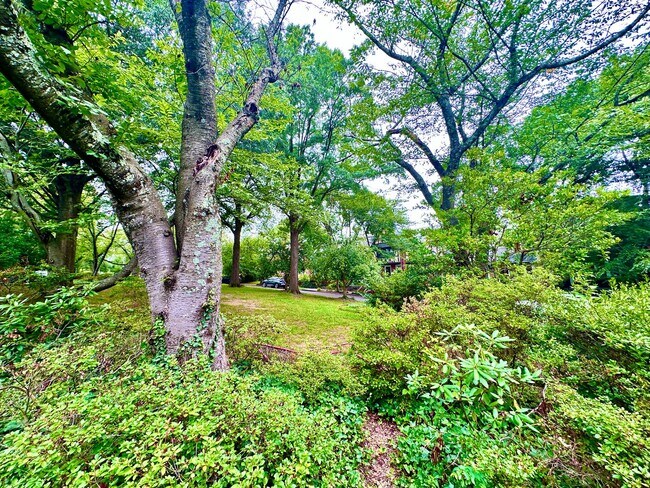 Building Photo - Spacious 6 bedroom 3.5 bath Tudor Townhouse w/Deck close to Georgetown University & Hospital