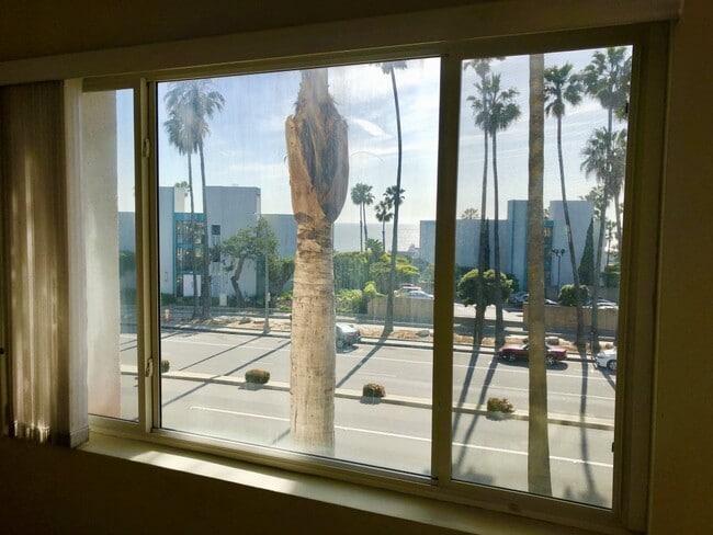 Building Photo - Ocean View Corner Unit Condo w/Balcony+Jac...