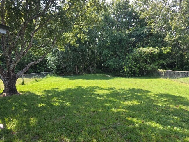 Building Photo - 4 Bed 2 Bath Home Near Baldwin & Winter Park