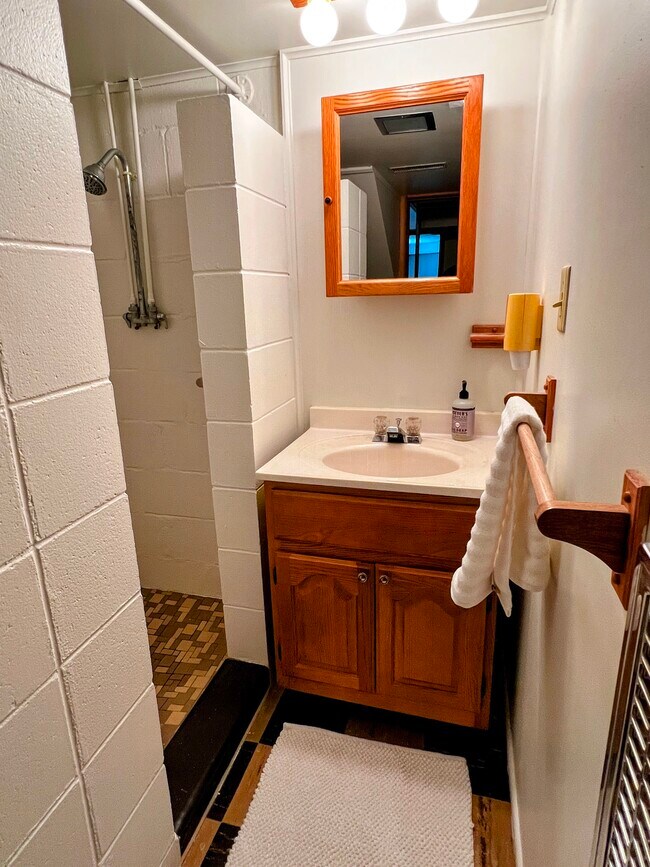 The bathroom has a sink, small storage space, and a shower. - 228 W Lexington Blvd