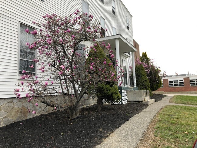 Building Photo - 274 Amherst St