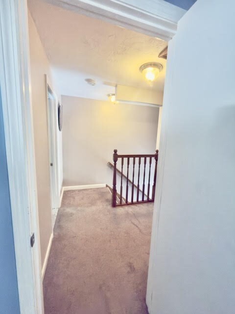 Building Photo - 33 Crossman St