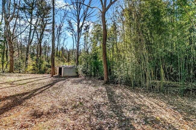 Building Photo - Very Private 3-Bedroom Home with Huge Yard...