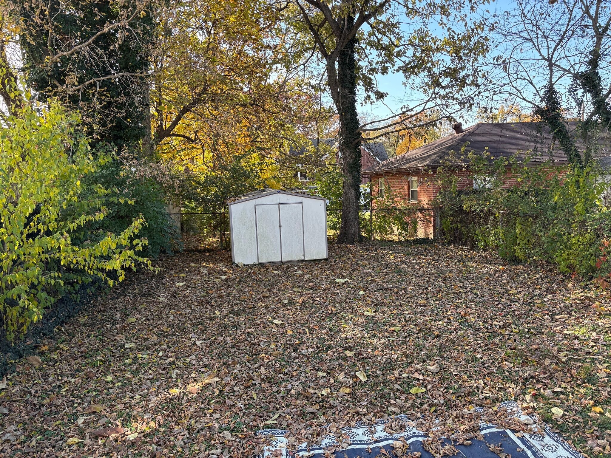 Building Photo - 3105 Rogers St