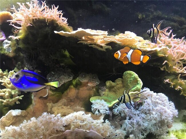 Building Photo - 4210 Gator Trace Ave