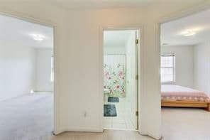 Building Photo - 1236 Wetlands Ct
