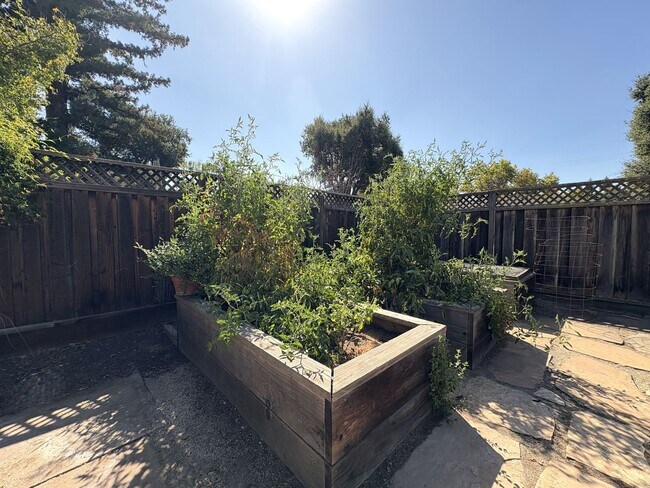 Building Photo - Modern Oasis in the Heart of Los Altos – U...