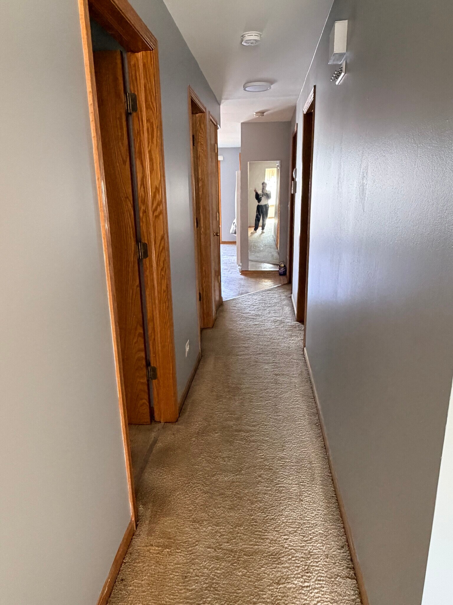 Hallway - 5030 Carol St