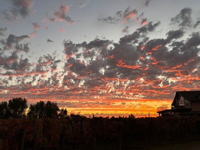 Building Photo - 3730 Roblar Ave