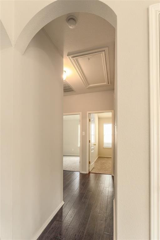 Building Photo - 116 Amberwood Ct