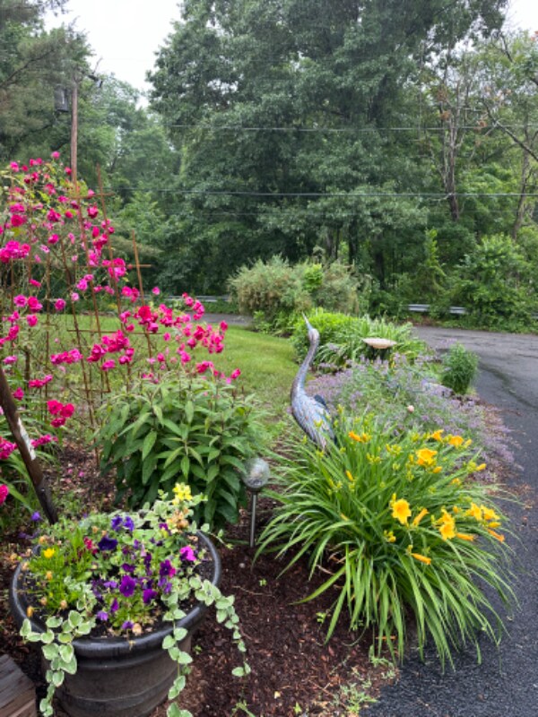 Building Photo - 2 Burdon St