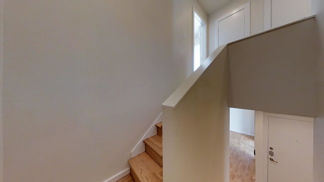 Stairs - Fisher Trails