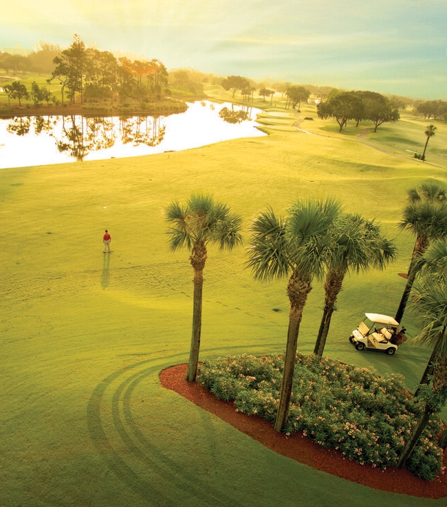 Building Photo - 19550 Sawgrass Dr