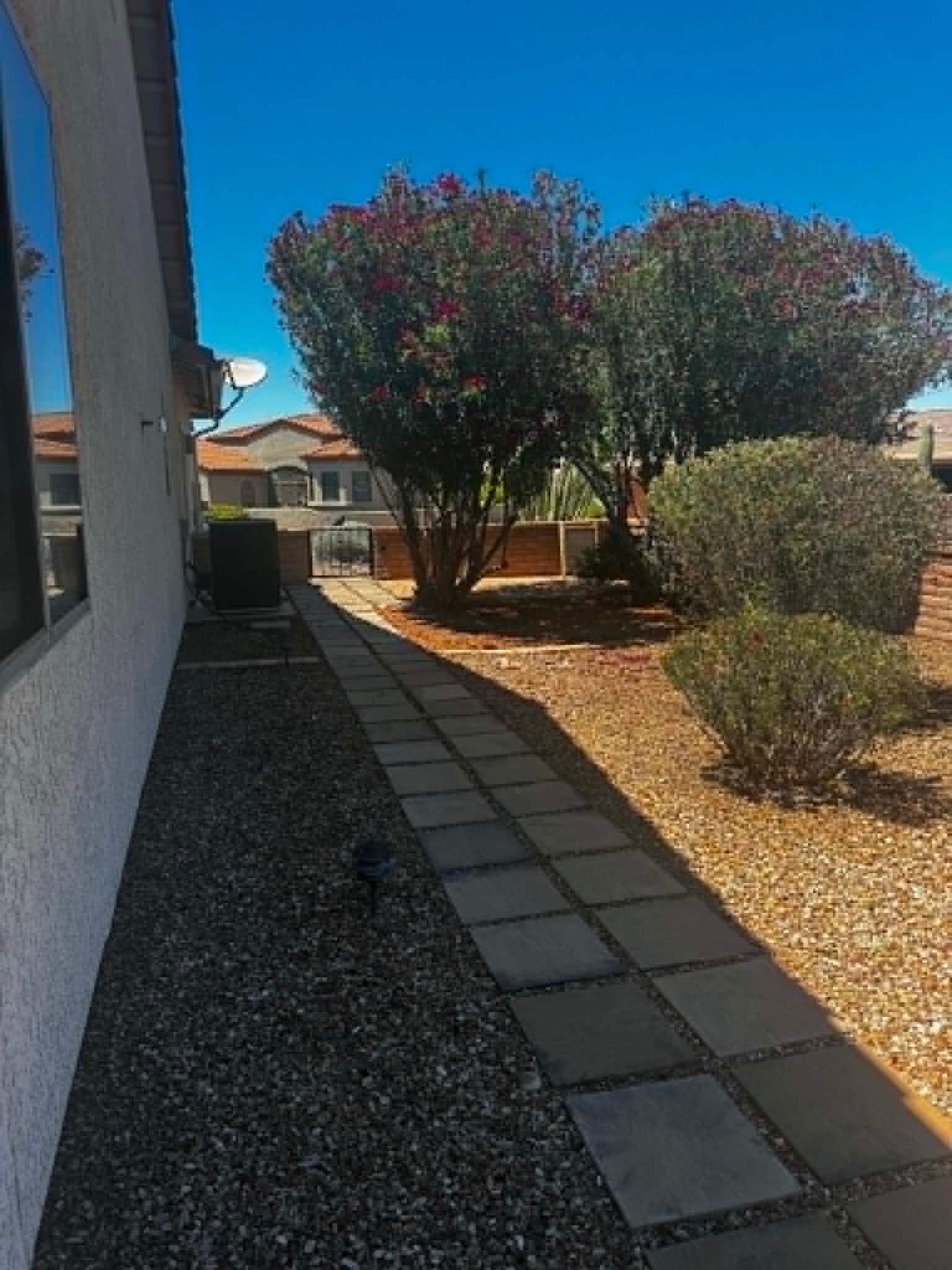 side yard - 4579 S Camino del Tejon