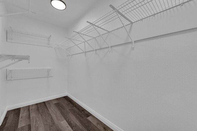 Building Photo - Charming 3 Bedroom ,2 bathroom in Paradise...