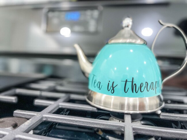 Building Photo - 113 S Birch St