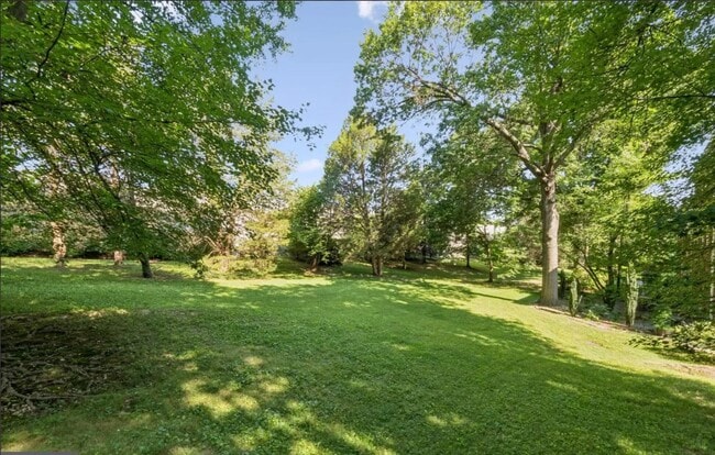 Building Photo - Charming Tree-Top Condo in Historic Parkfa...