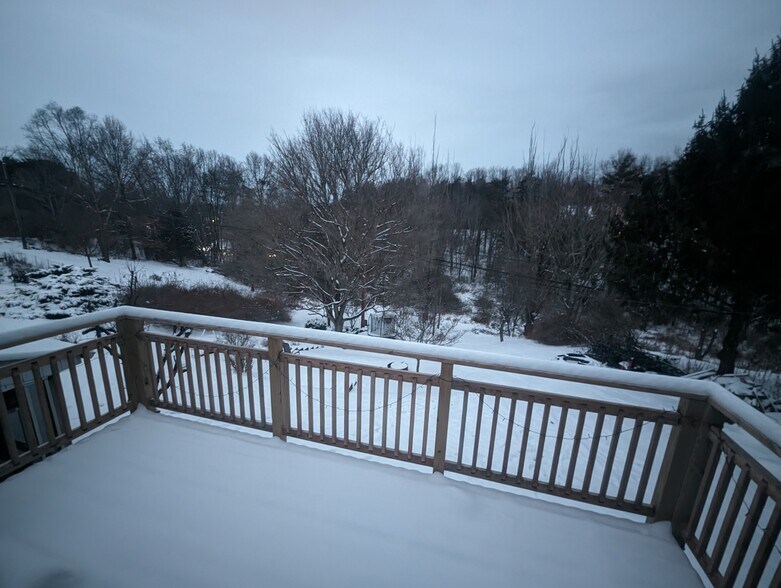 Deck - 1993 Washington St E