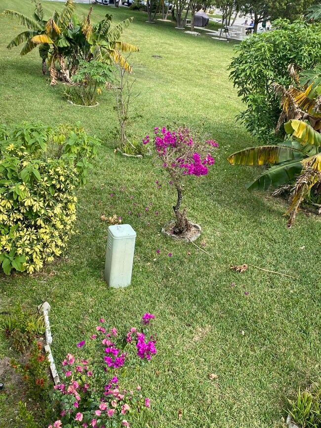 Building Photo - 72 Newport D