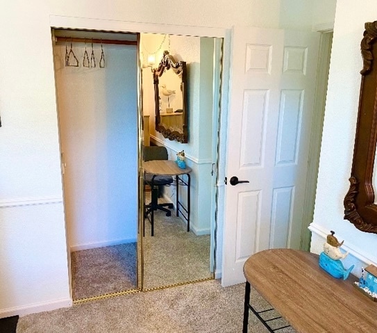 Mirror door to large closet - 372 Chaucer Dr