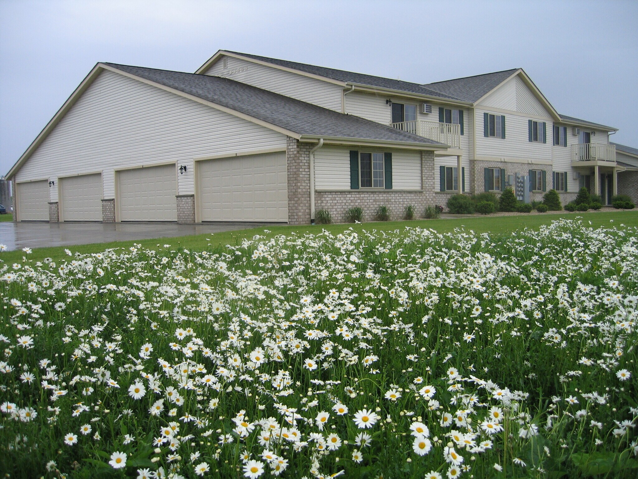 $1,000 - $1,115 - 225 Park Ln
