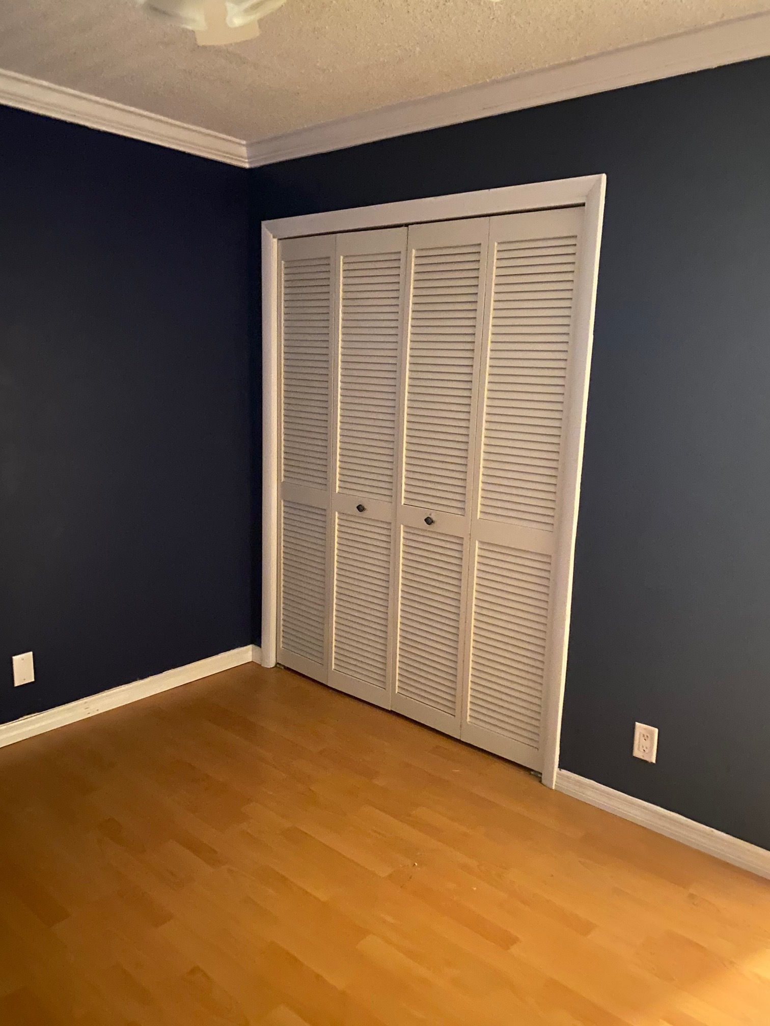 Spacious Closet Space - 3951 NE 18th Ave