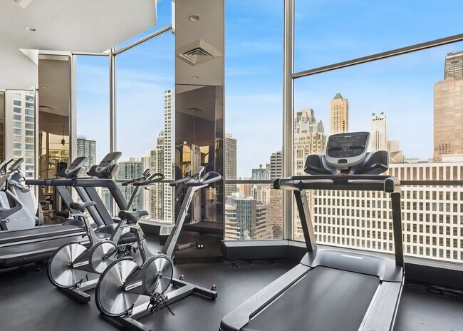 Building Photo - 535 N Michigan Ave