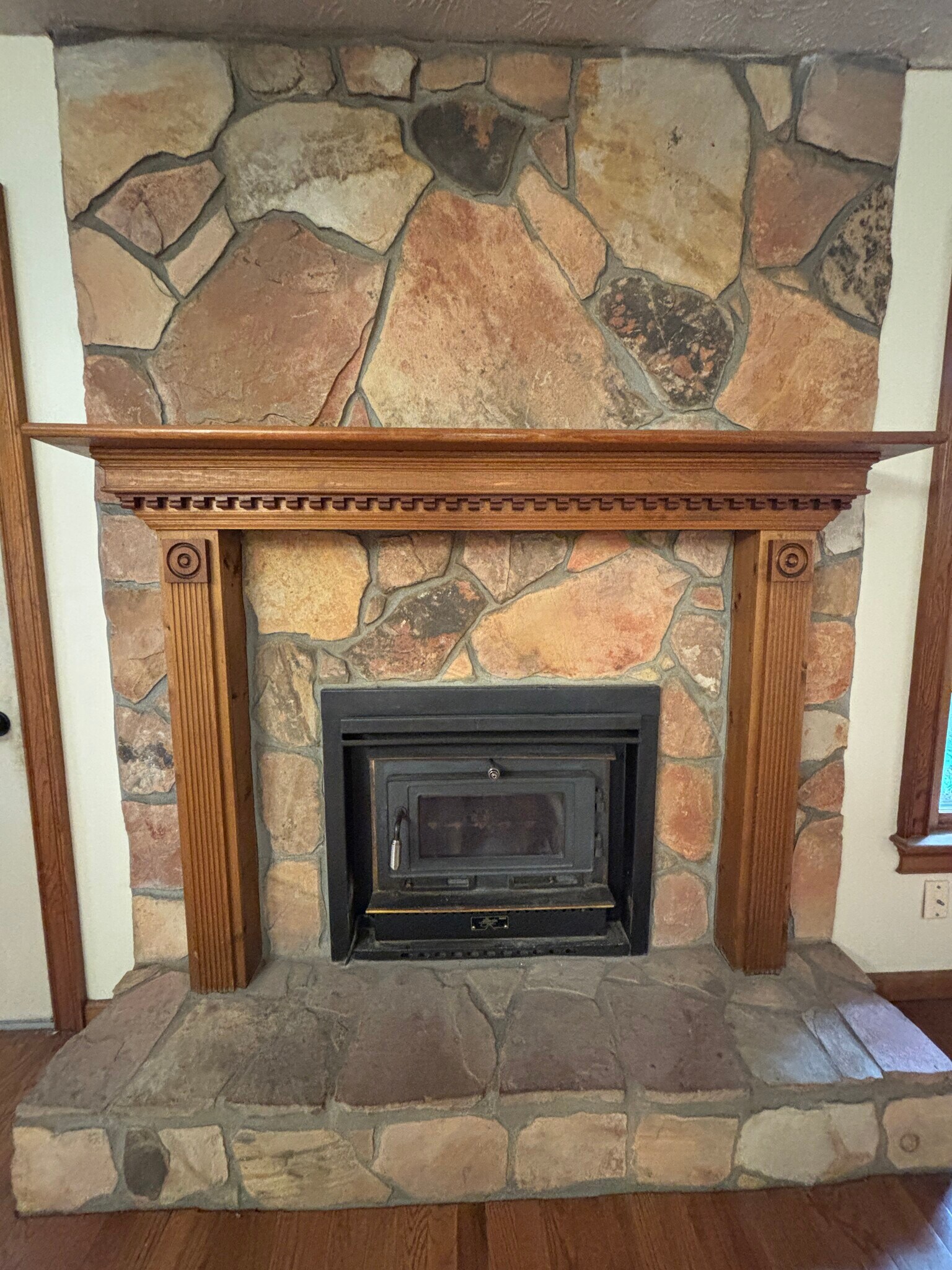 Wood-burning stove - 705 Alcovy Forest Dr