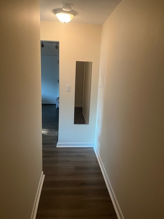 Building Photo - 131 Mellen St