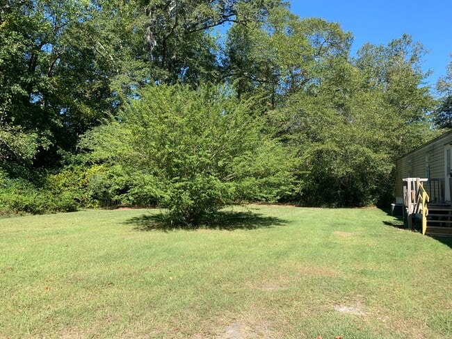 Building Photo - 209 McQueen St