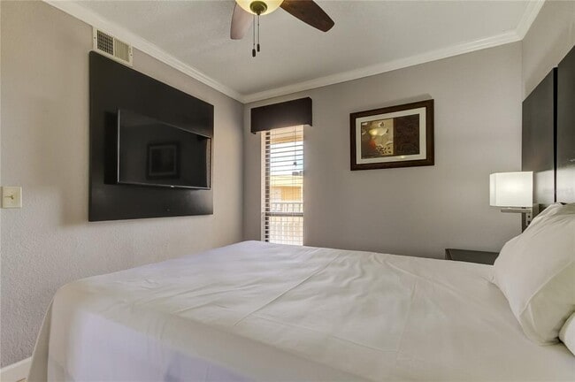 Building Photo - 2506 N Rocky Point Dr
