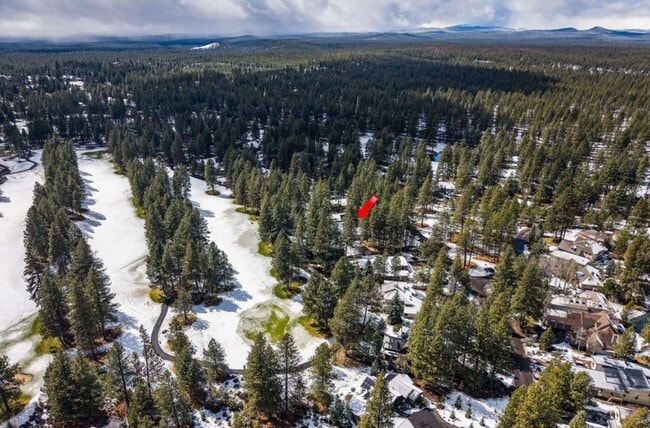 Building Photo - Gorgeous Single Level Luxury Home with 3-C...