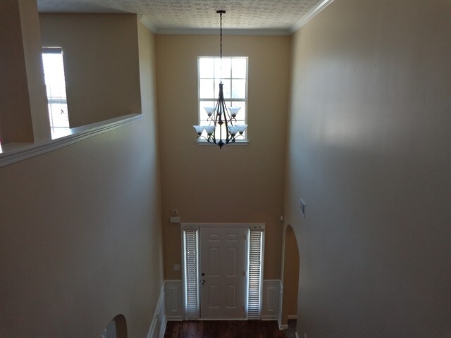 Building Photo - 3661 Morinda Dr