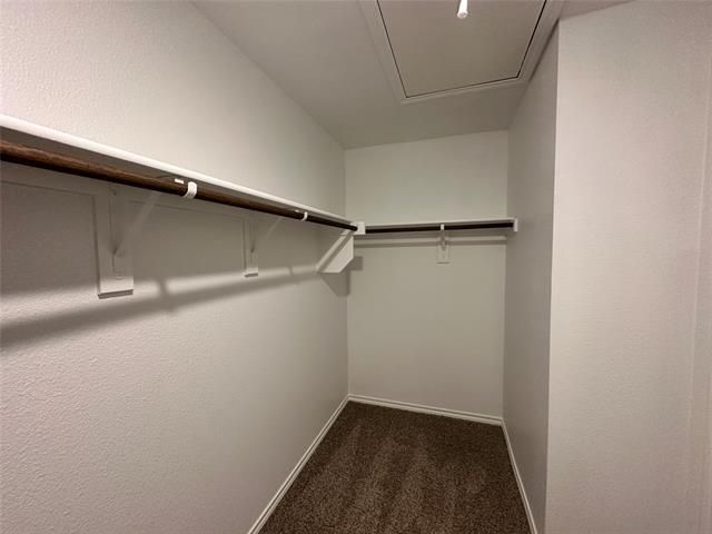 Building Photo - 3406 Marie Dr