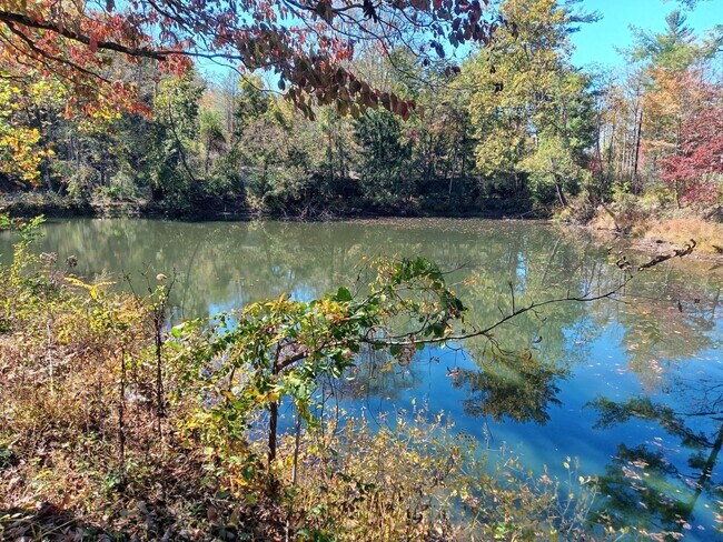 Building Photo - Beautiful One Bedroom Cabin on your own Private Pond!