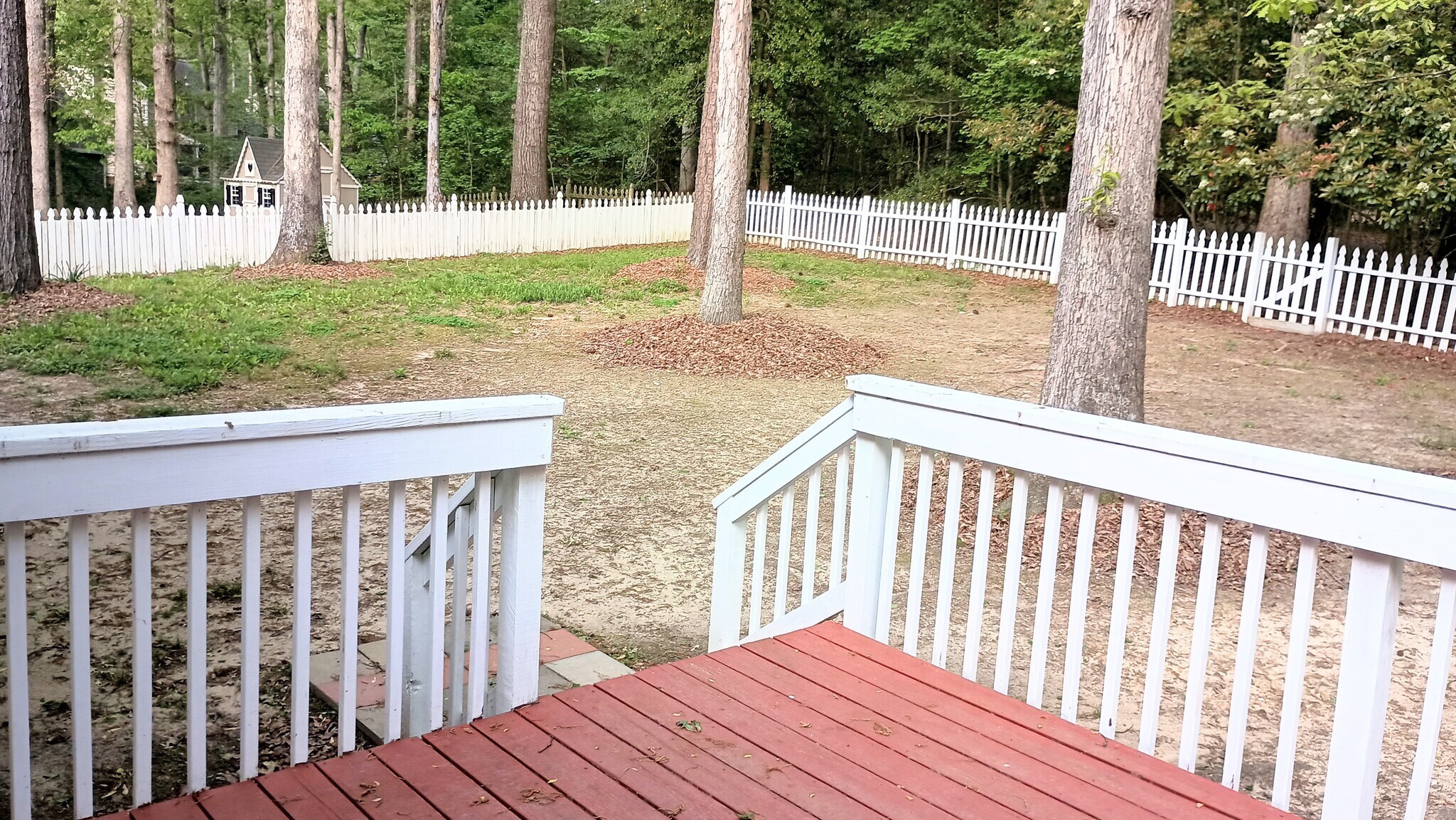 Large fenced-in back yard - 5505 Standing Oak Pl