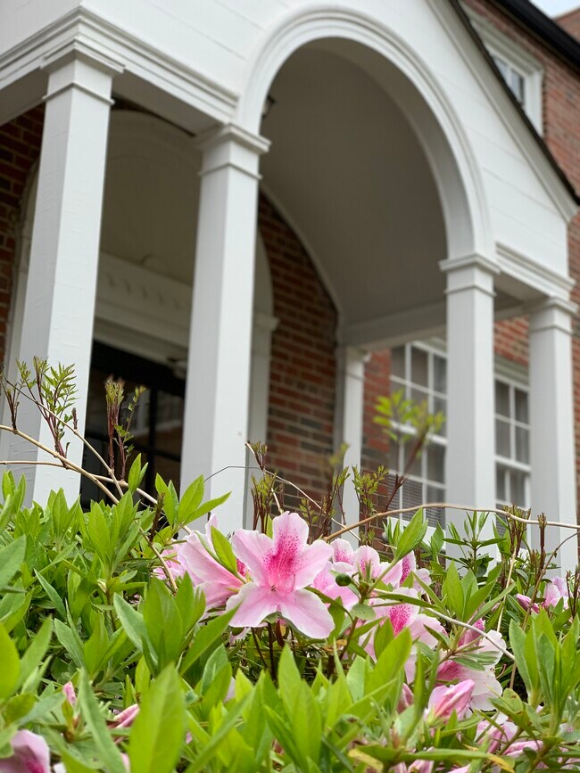 Blooms - 2824 Thornhill Rd