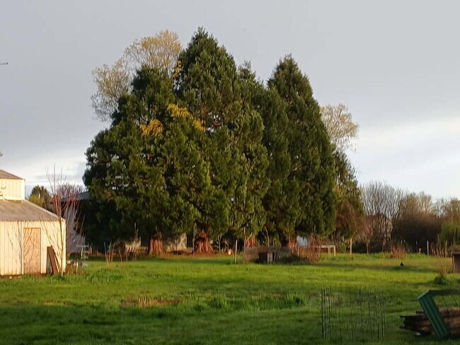 Building Photo - 19105 NE 112th Ave