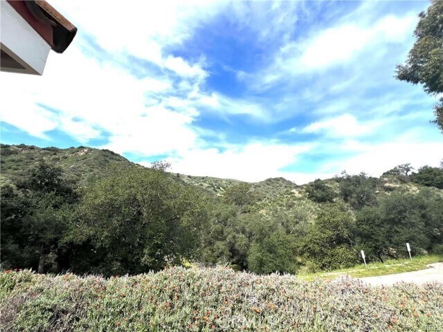 Building Photo - 20482 Live Oak Canyon Rd