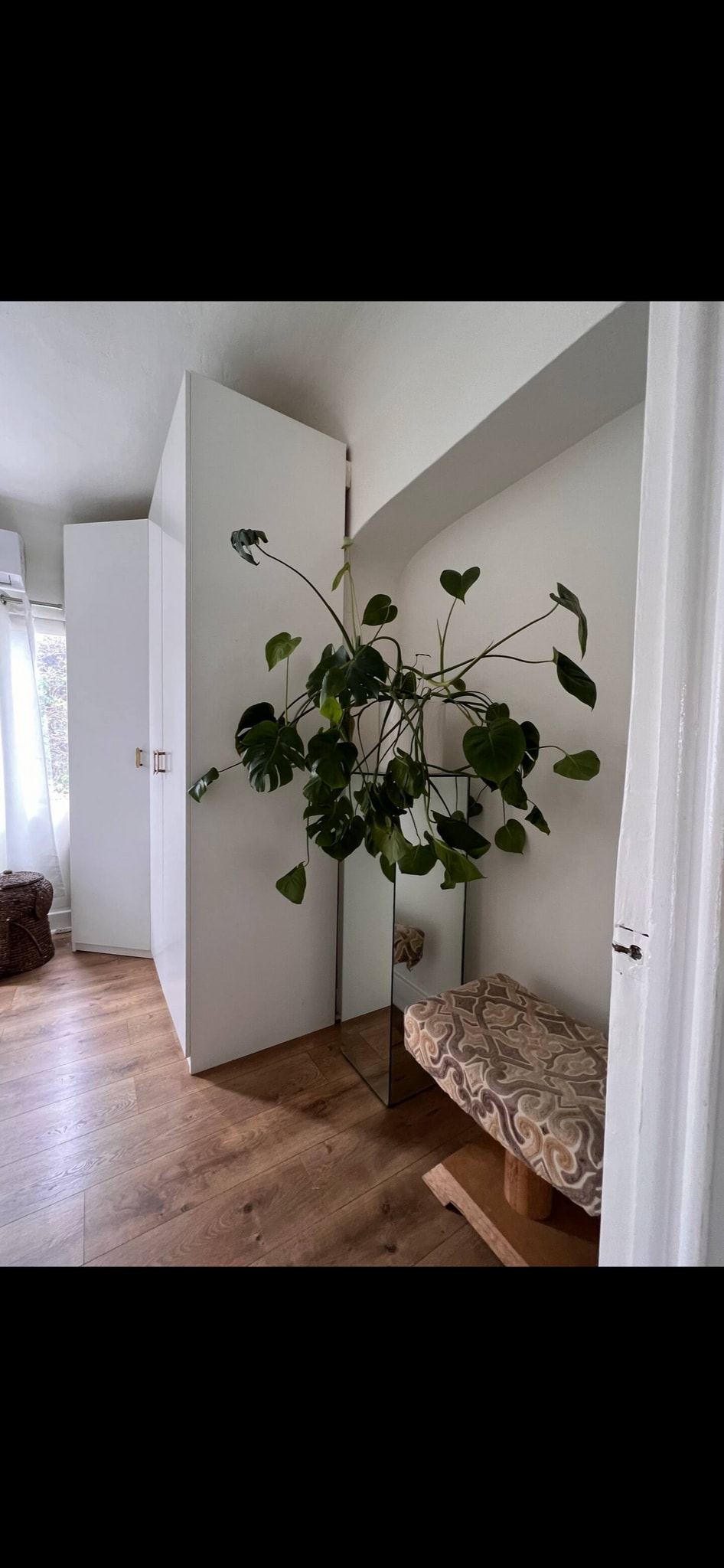 Building Photo - 4525 Avocado St