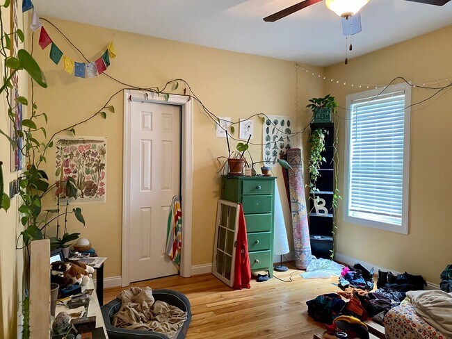 Building Photo - 3909 Jackson St