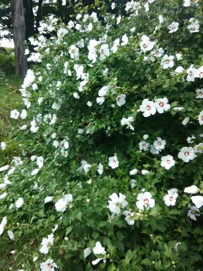 Building Photo - 408 Huntington Rd