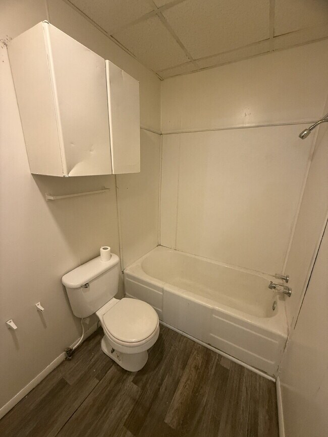 Building Photo - Charming 1-Bedroom Retreat in Heart of Seminole