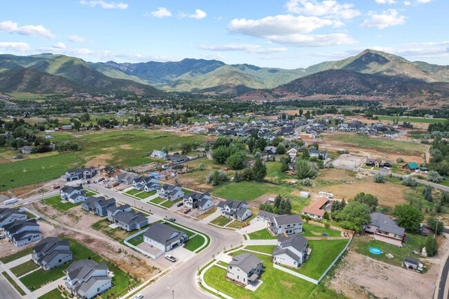 Building Photo - Cozy, Bright, and Spacious Home Nestled in Midway