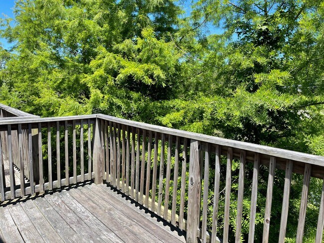 Building Photo - Beautiful Norfolk Waterfront Condo!