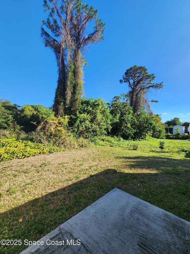 Building Photo - 1244 Lynne Dr