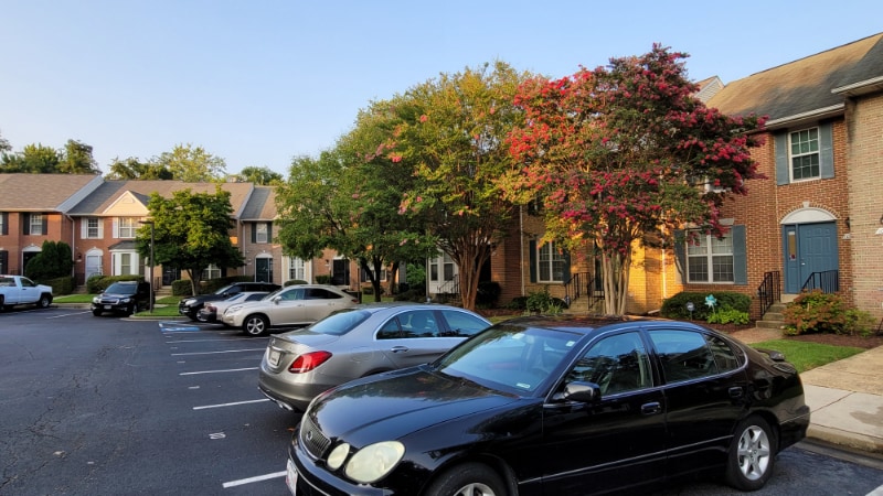 Building Photo - 1017 Higgins Way